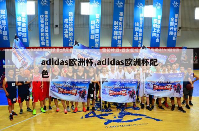 adidas欧洲杯,adidas欧洲杯配色