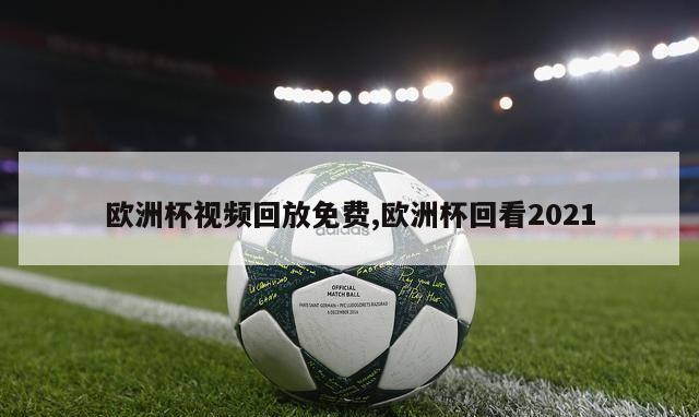 欧洲杯视频回放免费,欧洲杯回看2021