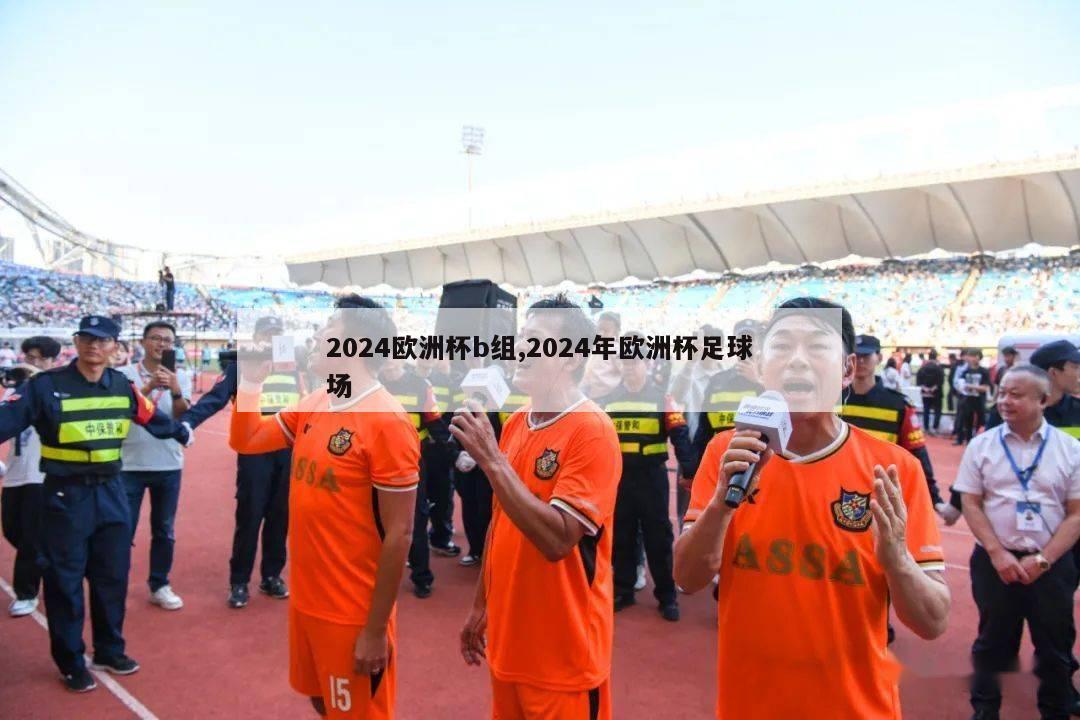 2024欧洲杯b组,2024年欧洲杯足球场