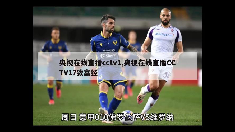 央视在线直播cctv1,央视在线直播CCTV17致富经