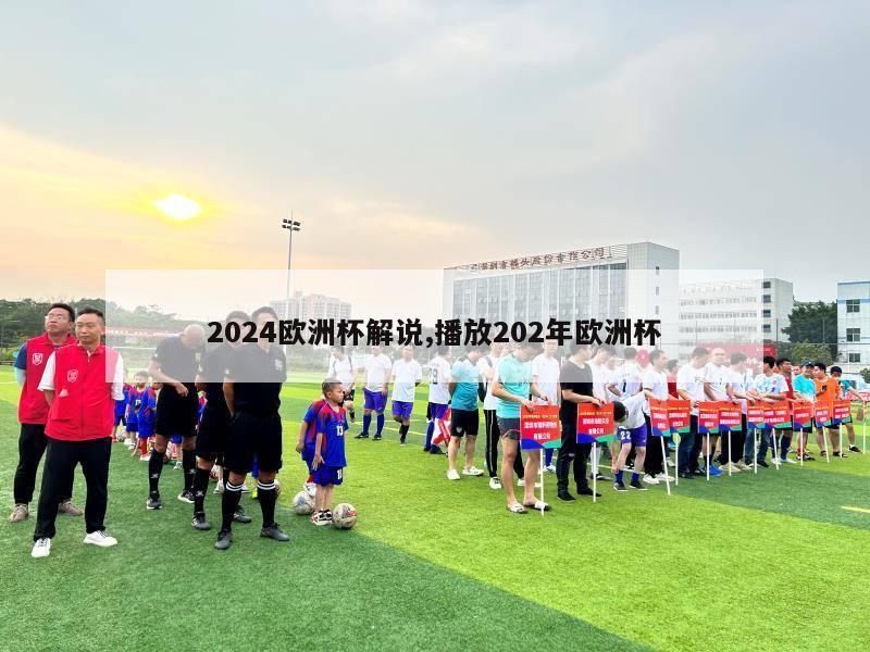 2024欧洲杯解说,播放202年欧洲杯