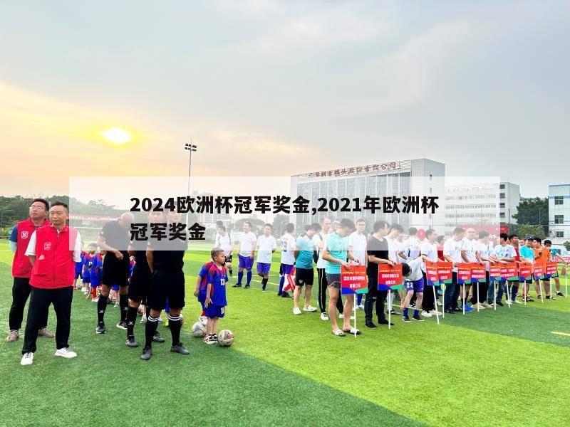 2024欧洲杯冠军奖金,2021年欧洲杯冠军奖金