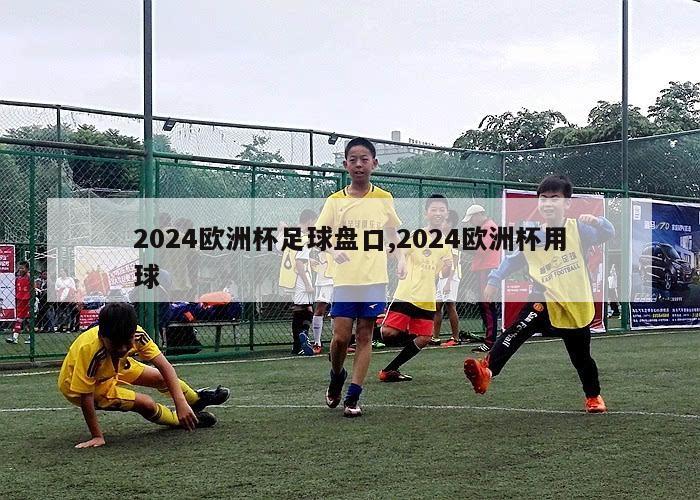 2024欧洲杯足球盘口,2024欧洲杯用球