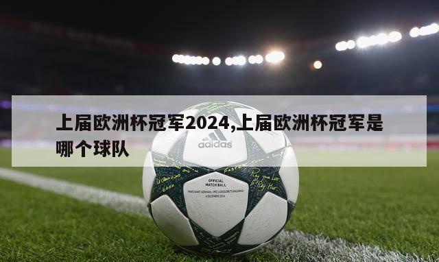 上届欧洲杯冠军2024,上届欧洲杯冠军是哪个球队