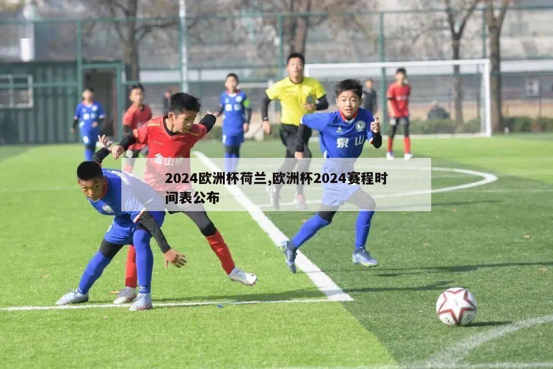 2024欧洲杯荷兰,欧洲杯2024赛程时间表公布