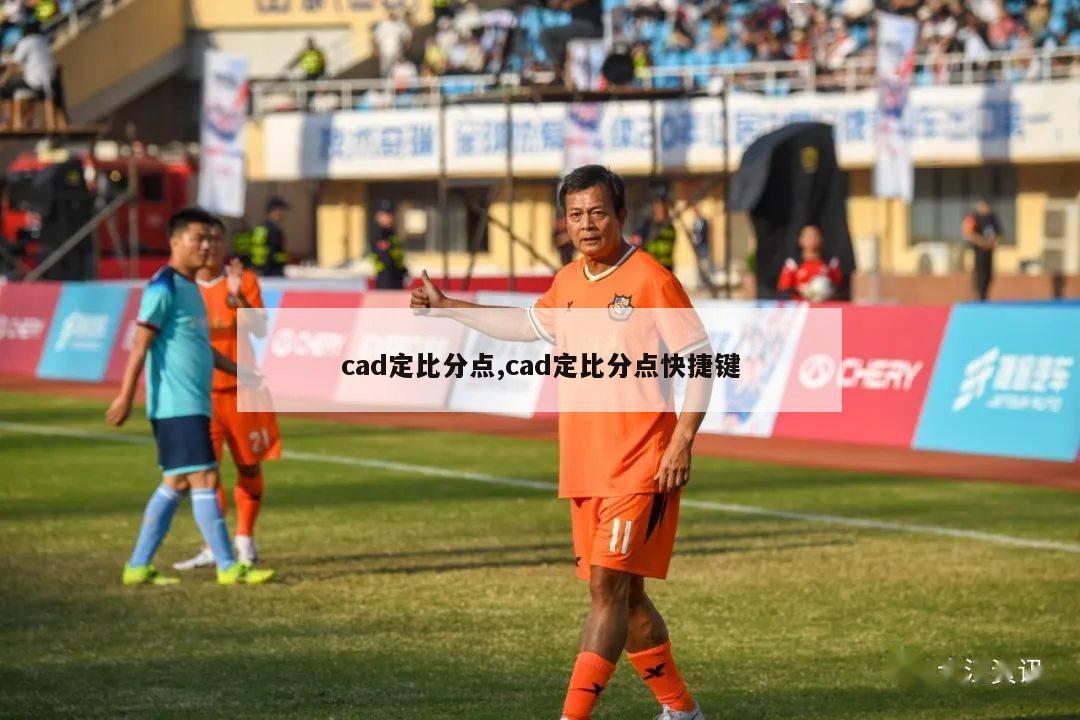 cad定比分点,cad定比分点快捷键