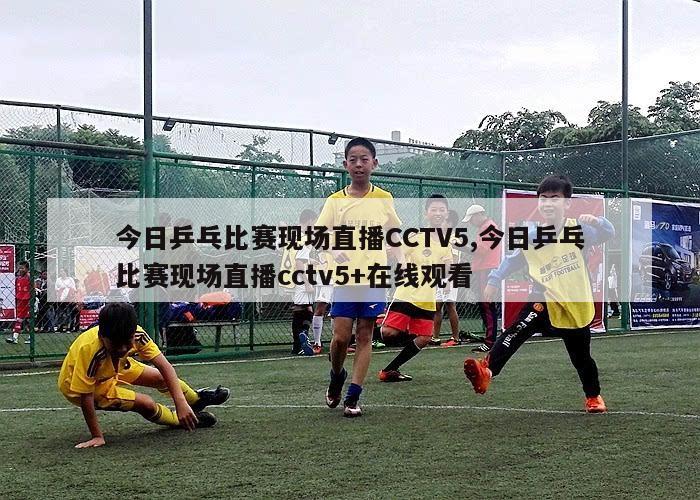 今日乒乓比赛现场直播CCTV5,今日乒乓比赛现场直播cctv5+在线观看