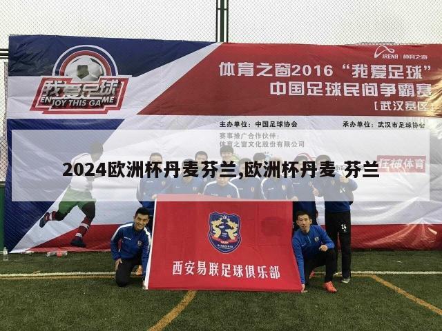 2024欧洲杯丹麦芬兰,欧洲杯丹麦 芬兰