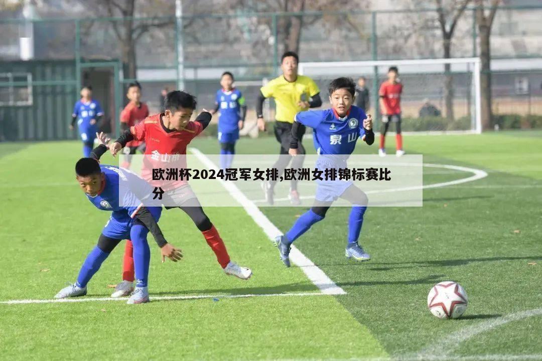 欧洲杯2024冠军女排,欧洲女排锦标赛比分