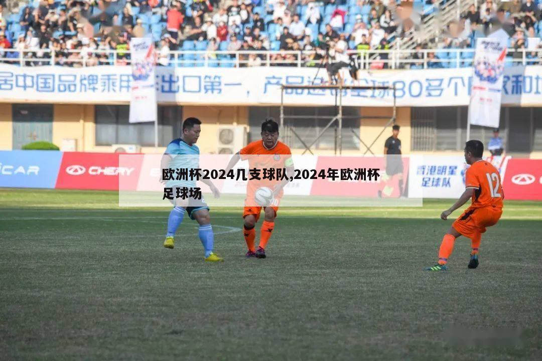 欧洲杯2024几支球队,2024年欧洲杯足球场