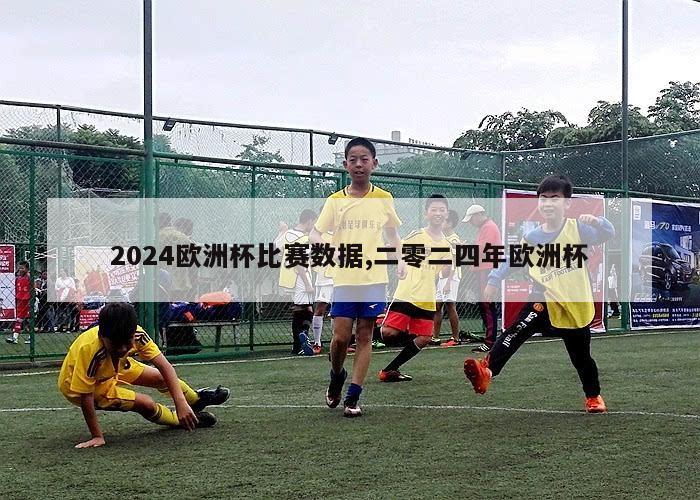 2024欧洲杯比赛数据,二零二四年欧洲杯